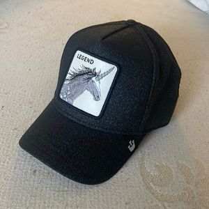 Super sparkly Goorin Limited edition hat.